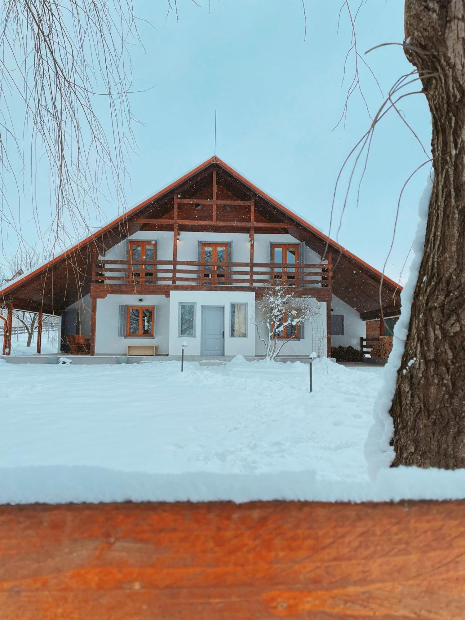Heritage Villa Predelut Luaran gambar
