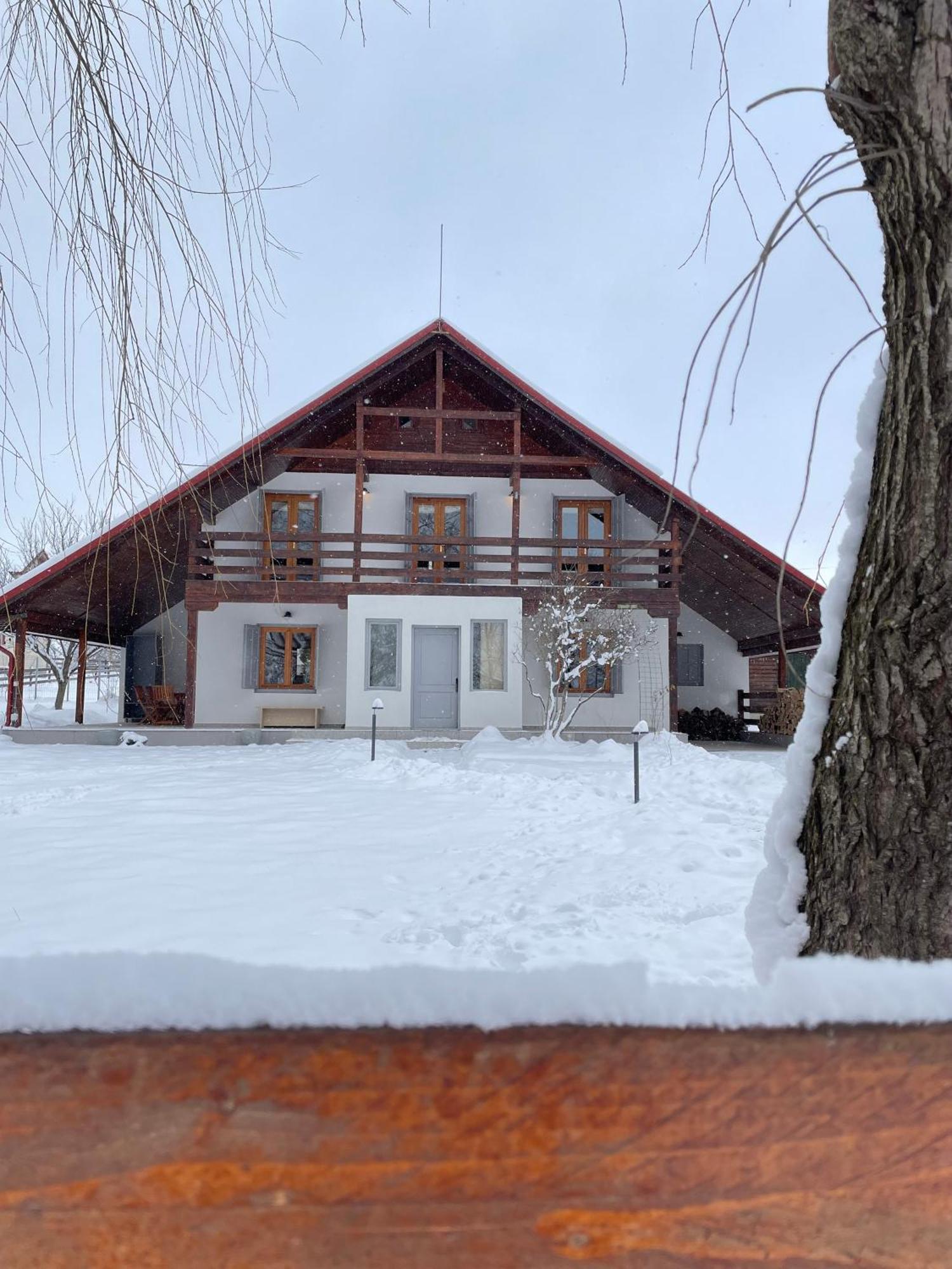 Heritage Villa Predelut Luaran gambar